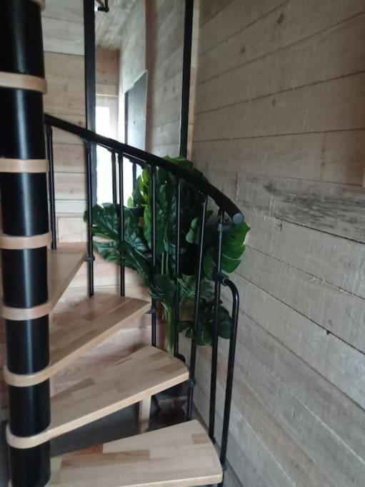 Le P'Tit Nid : Mini Loft Pour 2 A 4 Personnes Villa Tellin Exterior photo